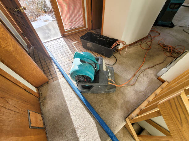 Best Water damage restoration insurance claims  in Hartford, AL