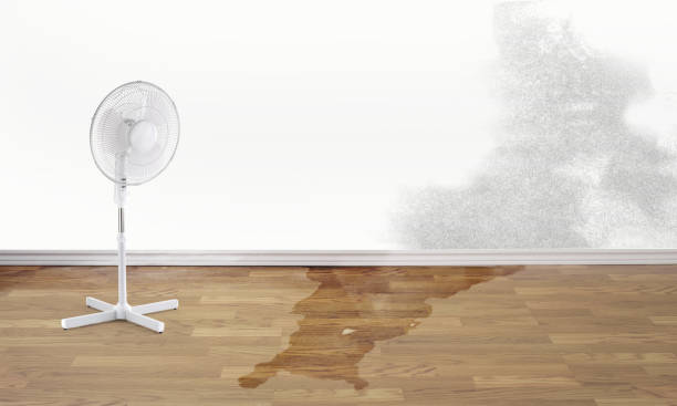 Best Ceiling water damage repair  in Hartford, AL