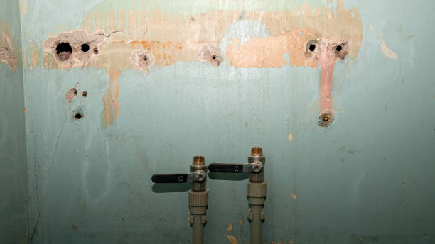 Best Basement water damage restoration  in Hartford, AL