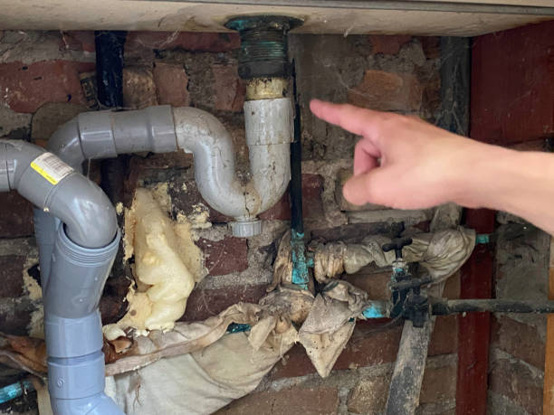 Best Fire Damage Restoration  in Hartford, AL