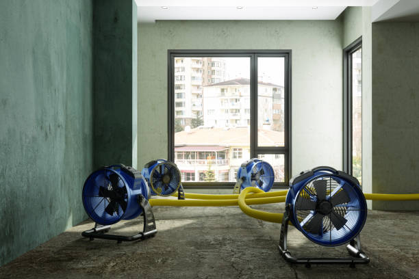  Hartford, AL Water damage restoration Pros